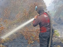 Karhutla di Pelalawan Riau Disebut Tuntas, Api Tak Terlihat Lagi