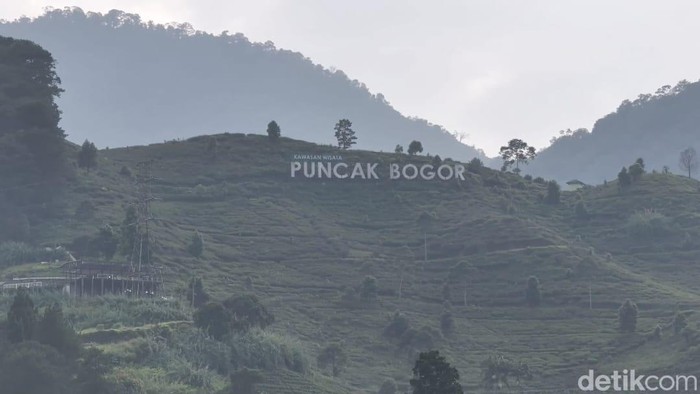 Puncak Bogor