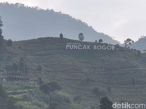 Ironi Puncak Bogor: Ketika Alam Terdesak oleh Pariwisata