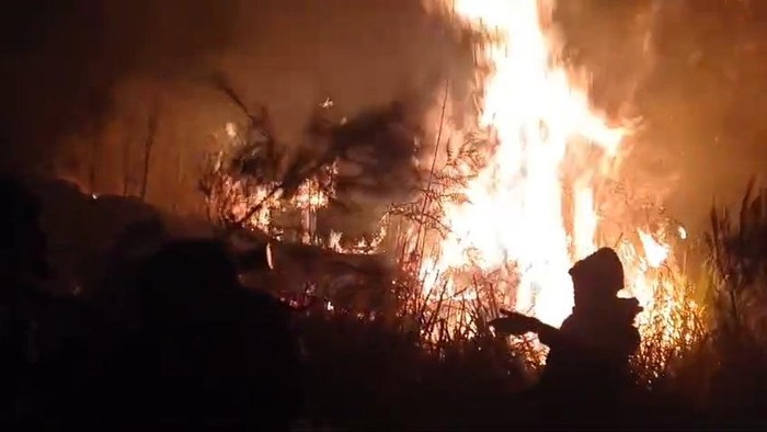 Relawan Desa di Pasuruan turut berjibaku memadamkan karhutla di lereng Gunung Arjuno hingga malam hari.