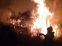 Kebakaran di Gunung Arjuno-Welirang, 334 Hektare Lahan Hangus