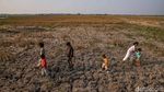 Sawah Bekasi Mengering, Petani Terancam Gagal Panen di Tengah Kemarau Panjang