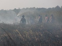 Way Kambas Belum Padam, Titik Api Baru Kembali Muncul