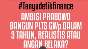 #TanyadetikFinance Ambisi Prabowo Bangun PLTS 100 GW dalam 3 Tahun, Realistis atau Angan Belaka?