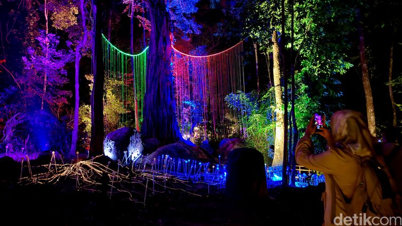 Dream Forest Langkawi