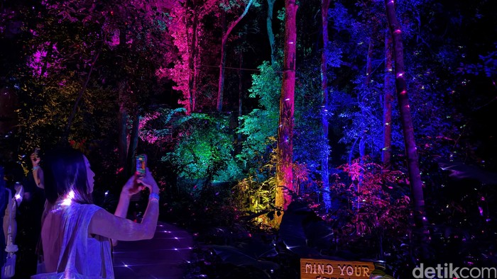 Dream Forest Langkawi