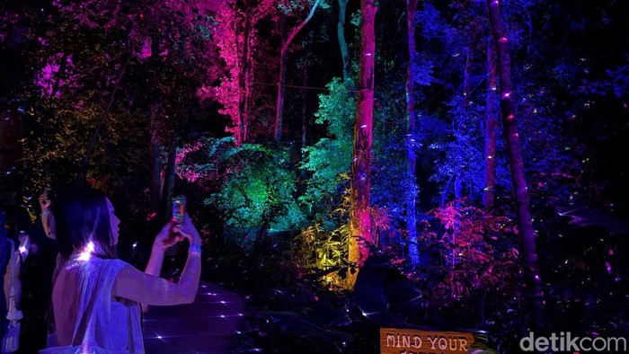 Dream Forest Langkawi