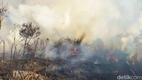 Untuk membantu proses penanganan, BPBD Kabupaten Lumajang menerjunkan sejumlah personel. Mereka bergabung dengan petugas TNBTS untuk melakukan penyekatan terhadap kobaran api.