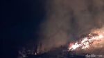 Hutan TNBTS Jalur Pendakian Semeru Terbakar