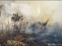 Hutan TNBTS Jalur Pendakian Semeru Terbakar