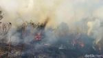 Hutan TNBTS Jalur Pendakian Semeru Terbakar