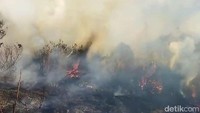 Kawasan hutan Taman Nasional Bromo Tengger Semeru (TNBTS) di wilayah Kabupaten Lumajang, Jawa Timur, kembali terbakar.