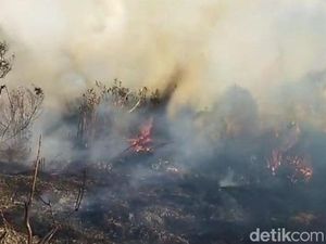 Fakta-fakta Kebakaran Hutan Gunung Semeru hingga 172 Pendaki Dievakuasi