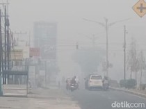 Komisi IX DPR Minta KLB Kabut Asap Ditetapkan di Wilayah Terdampak Karhutla