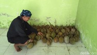 Musim Durian Tiba, Saatnya Menjelajah Baduy