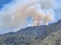 Kebakaran di Gunung Latimojong Diduga Dipicu Ulah Oknum Pendaki