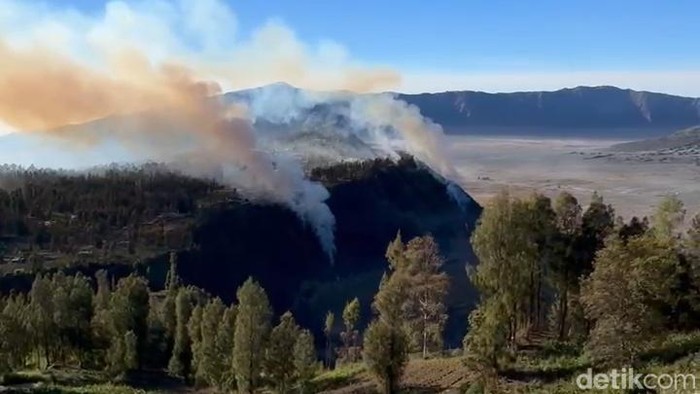 Kebakaran di Seruni Point Gunung Bromo