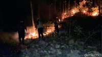 Karhutla di Ponorogo, Asap Mengarah ke Permukiman Warga