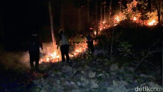 Karhutla di Ponorogo, Asap Mengarah ke Permukiman Warga