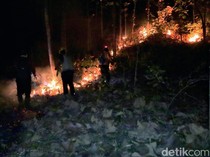 Karhutla di Ponorogo, Asap Mengarah ke Permukiman Warga