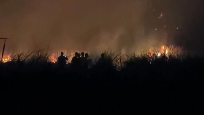 Kebakaran masih terjadi di Taman Nasional Way Kambar, Lampung Timur
