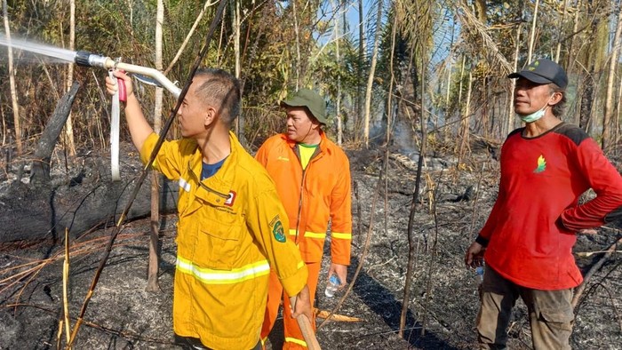 KPH turun melakukan pemadaman karhutla di Kubar