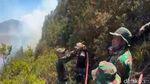 Hutan TNBTS Jalur Pendakian Semeru Terbakar