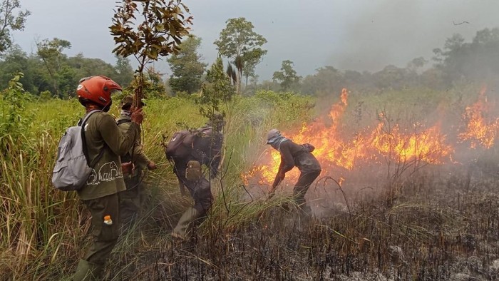 Petugas saat memadamkan api di Taman Nasional Way Kambas