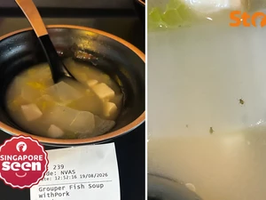 Gegara Sup Ikan Terkontaminasi Serangga, Wanita Ini Diare 2 Hari