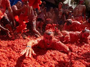 Serunya La Tomatina 2026, Ribuan Orang Perang Tomat di Jalanan Spanyol
