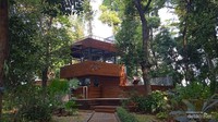 Healing Sejenak di Kafe Bernuansa Hutan di Jakarta Pusat