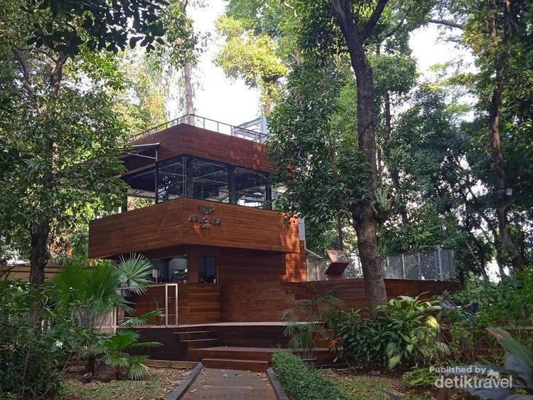 Healing Sejenak di Kafe Bernuansa Hutan di Jakarta Pusat