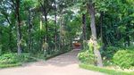 Healing Sejenak di Kafe Bernuansa Hutan di Jakarta Pusat