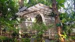 Healing Sejenak di Kafe Bernuansa Hutan di Jakarta Pusat