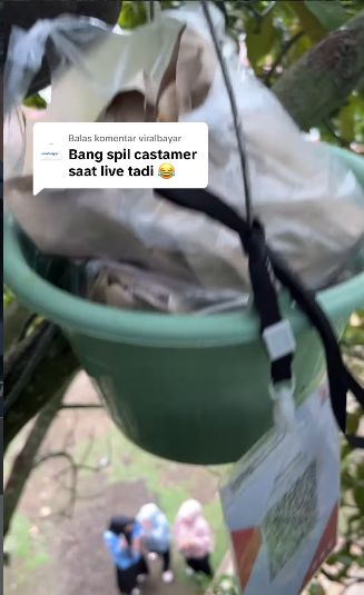 Viral Pria Aceh Jualan Mie dari Atas Pohon, Begini Cara Pesan dan Bayarnya Viral Pria Aceh Jualan Mie dari Atas Pohon, Begini Cara Pesan dan Bayarnya