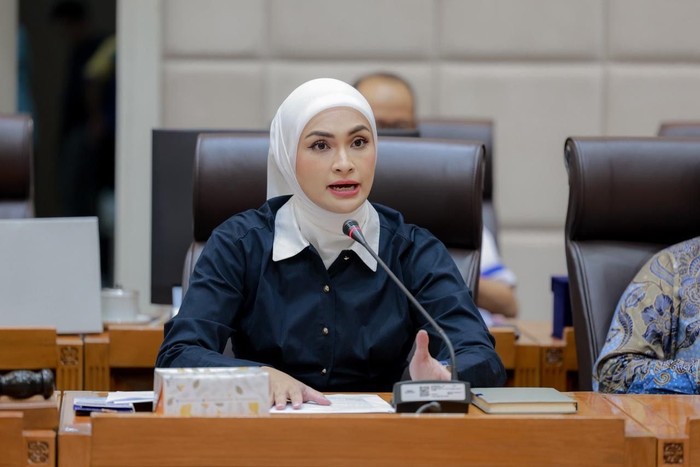 Wakil Ketua Komisi XII DPR RI dari Fraksi PAN, Putri Zulkifli Hasan