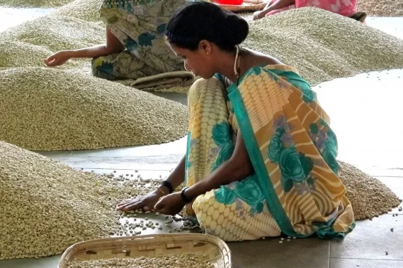 5 Negara Penghasil Kopi di Asia, Indonesia Punya Mandheling yang Mendunia