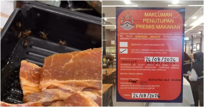 Apes! Lagi Asyik Makan Hotpot, Pelanggan Syok Temukan Kecoa di Daging