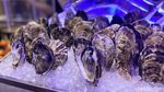 Brunch Ala Pesisir, Sedapnya Seafood Segar hingga Escargot Panggang