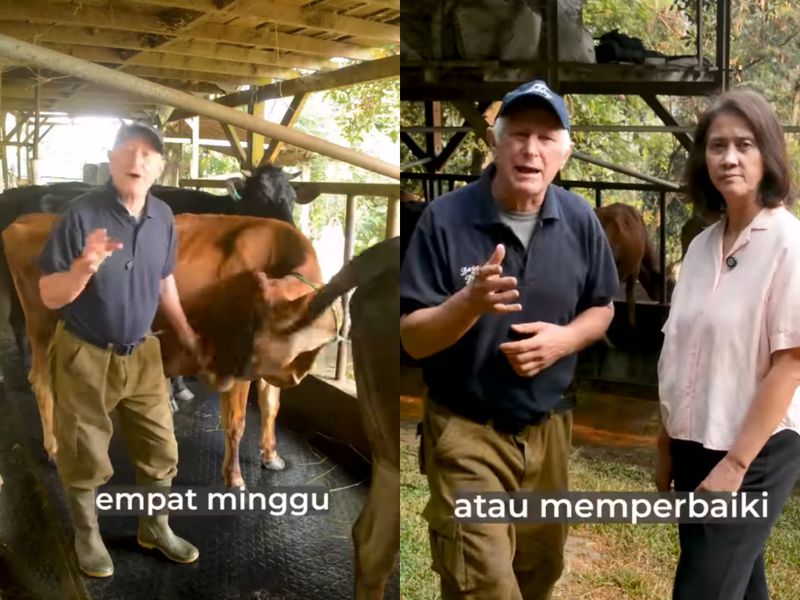 Dago Dairy tutup.