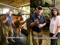 Sulit Cari Pekerja, Peternakan Sapi Dago Dairy di Bandung Akhirnya Tutup