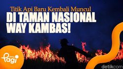 Video: Titik Api Baru Kembali Muncul di Taman Nasional Way Kambas! 