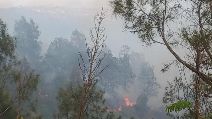 Kebakaran di Bukit Kingkong, Bromo terdeteksi. Peugas berupaya memadamkana api.