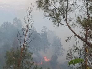 Kebakaran Terdeteksi di Bukit Kingkong Bromo