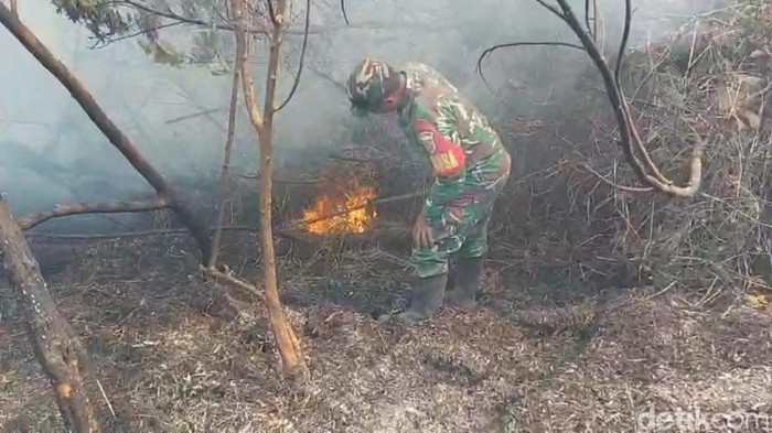 Kebakaran hutan dan lahan di Ranu Kembar kawasan pendakian Gunung Semeru