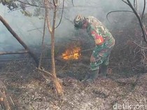 172 Pendaki Dievakuasi dari Gunung Semeru, Ada Kebakaran di Jalur Pendakian