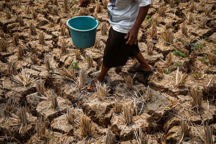 Warga berjalan melintasi lahan persawahan yang terdampak kekeringan di Desa Karangindah, Bojongmangu, Kabupaten Bekasi, Jawa Barat, Kamis (27/8/2026). Dinas Pertanian Kabupaten Bekasi menyebutkan sekitar 1.354 hektare lahan pertanian yang tersebar di 41 desa dari 15 kecamatan mengalami kekeringan akibat berkurangnya pasokan air untuk mengairi sawah, sehingga pemerintah setempat akan menambah pompa air di sejumlah wilayah untuk mencegah kekeringan semakin meluas. ANTARA FOTO/Darryl Ramadhan/wsj.