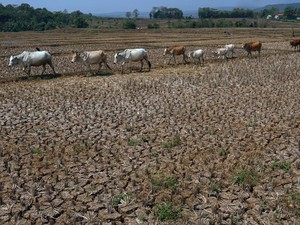 Kalimantan Bagian Selatan Diprediksi Masuk Puncak Kemarau September 2026