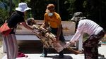 Manene, Tradisi Toraja Merawat Jenazah Leluhur