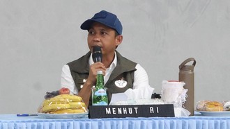 Menhut Ungkap Izin 6 Korporasi Akan Dicabut Buntut Karhutla di Kalimantan